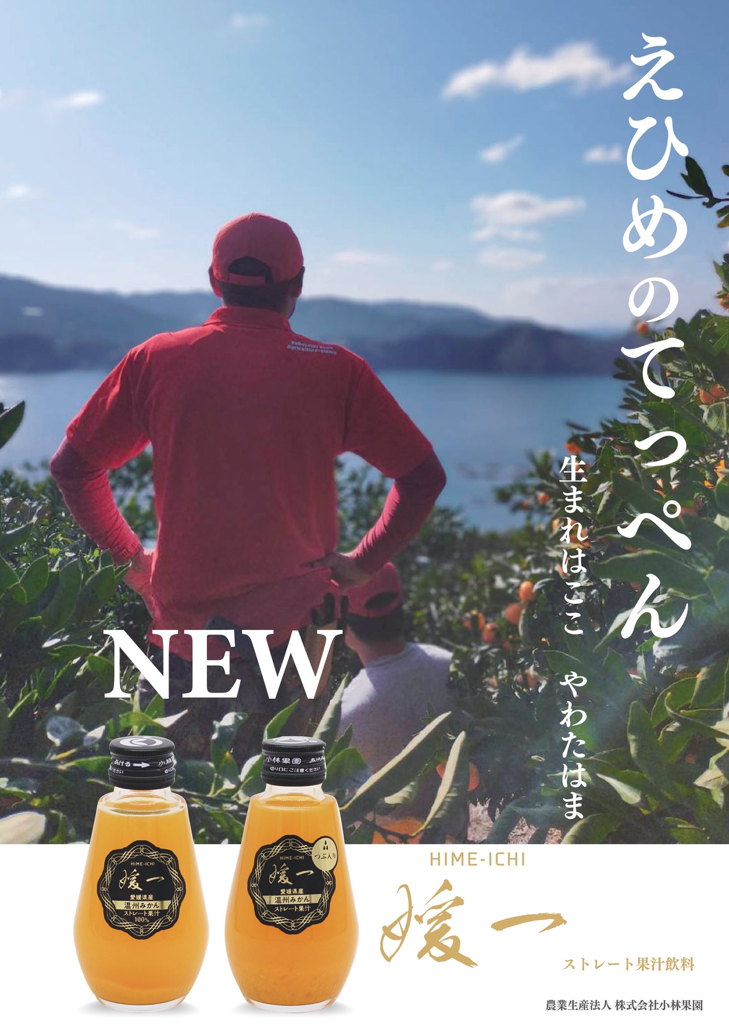 『媛一ジュース』小瓶160ml×４本セット