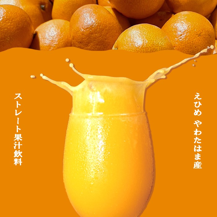『媛一ジュース』小瓶160ml×４本セット